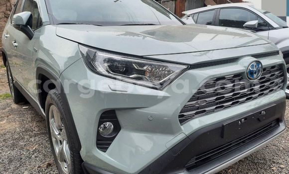 Buy New Toyota RAV4 Other Car in Addis–Ababa in Ethiopia Buy New Toyota RAV4 Other Car in Addis–Ababa in Ethiopia