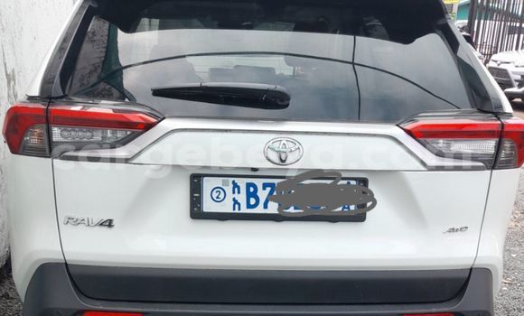Buy Used Toyota RAV4 White Car in Addis–Ababa in Ethiopia Buy Used Toyota RAV4 White Car in Addis–Ababa in Ethiopia