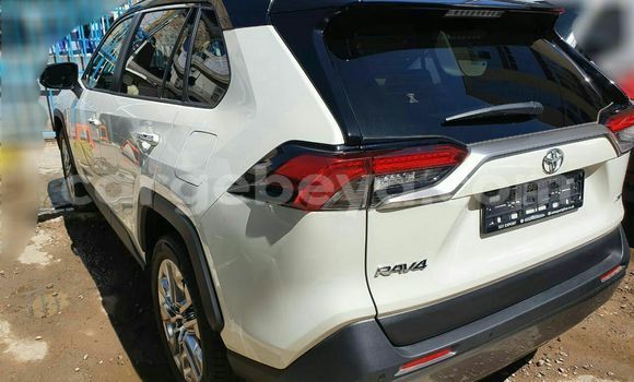 Buy New Toyota RAV4 White Car in Addis–Ababa in Ethiopia Buy New Toyota RAV4 White Car in Addis–Ababa in Ethiopia
