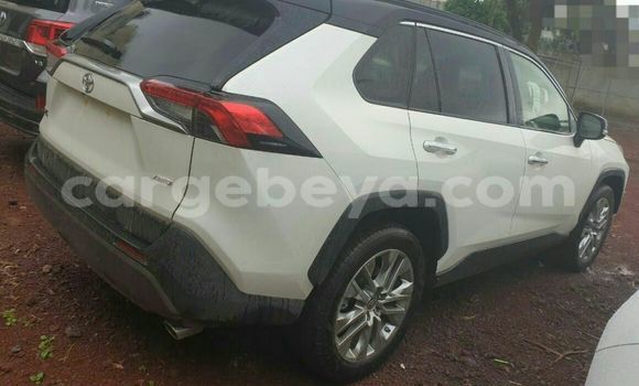 Buy New Toyota RAV4 White Car in Addis–Ababa in Ethiopia Buy New Toyota RAV4 White Car in Addis–Ababa in Ethiopia