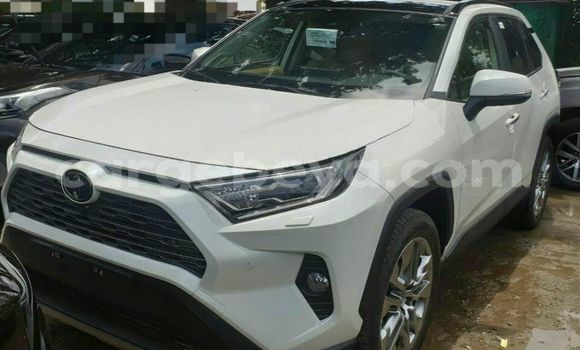 Buy New Toyota RAV4 White Car in Addis–Ababa in Ethiopia Buy New Toyota RAV4 White Car in Addis–Ababa in Ethiopia