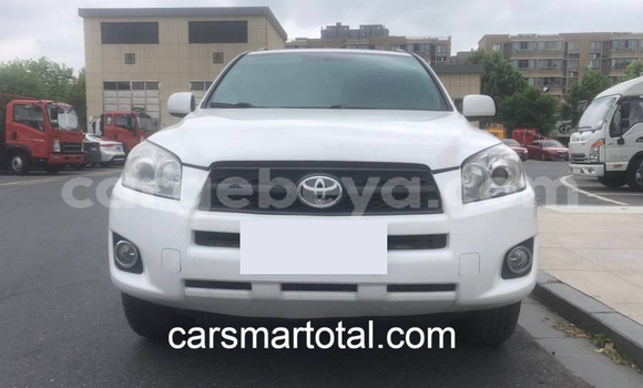 Buy Used Toyota RAV4 White Car in Adet in Amhara Buy Used Toyota RAV4 White Car in Adet in Amhara
