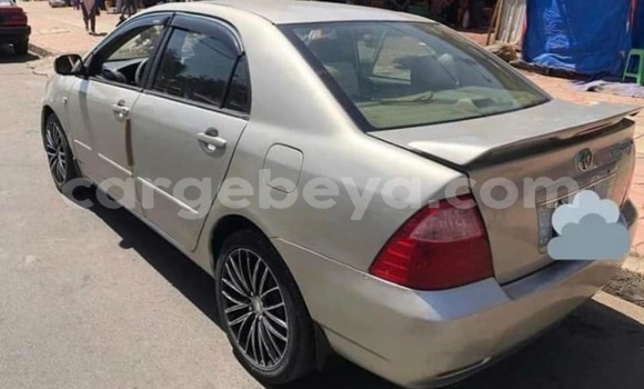 Buy Used Toyota Corolla Silver Car in Addis–Ababa in Ethiopia Buy Used Toyota Corolla Silver Car in Addis–Ababa in Ethiopia