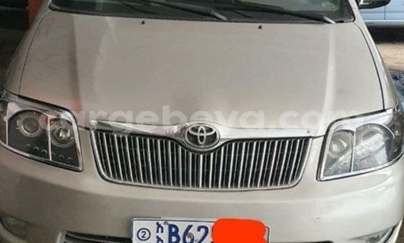Buy Used Toyota Corolla Silver Car in Addis–Ababa in Ethiopia Buy Used Toyota Corolla Silver Car in Addis–Ababa in Ethiopia