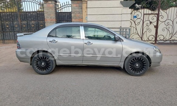Buy Used Toyota Corolla Silver Car in Addis–Ababa in Ethiopia Buy Used Toyota Corolla Silver Car in Addis–Ababa in Ethiopia