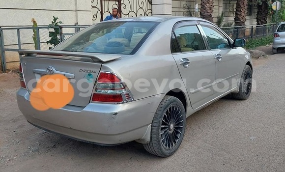 Buy Used Toyota Corolla Silver Car in Addis–Ababa in Ethiopia Buy Used Toyota Corolla Silver Car in Addis–Ababa in Ethiopia