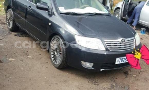 Buy Used Toyota Corolla Black Car in Addis–Ababa in Ethiopia Buy Used Toyota Corolla Black Car in Addis–Ababa in Ethiopia