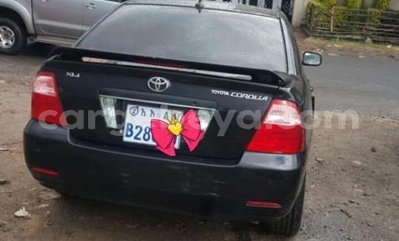 Buy Used Toyota Corolla Black Car in Addis–Ababa in Ethiopia Buy Used Toyota Corolla Black Car in Addis–Ababa in Ethiopia