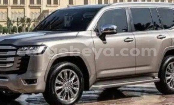 Buy New Toyota Land Cruiser Silver Car in Addis–Ababa in Ethiopia Buy New Toyota Land Cruiser Silver Car in Addis–Ababa in Ethiopia