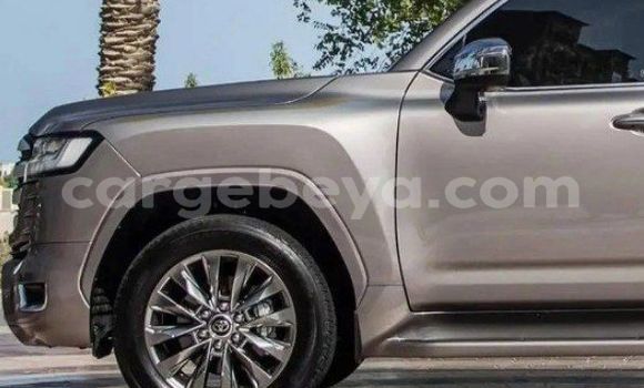 Buy New Toyota Land Cruiser Silver Car in Addis–Ababa in Ethiopia Buy New Toyota Land Cruiser Silver Car in Addis–Ababa in Ethiopia