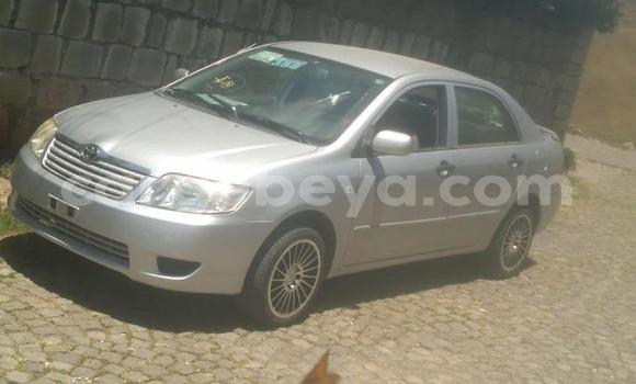 Buy Used Toyota Corolla Silver Car in Addis–Ababa in Ethiopia Buy Used Toyota Corolla Silver Car in Addis–Ababa in Ethiopia