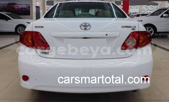 Buy Used Toyota Corolla White Car in Bure in Amhara Buy Used Toyota Corolla White Car in Bure in Amhara