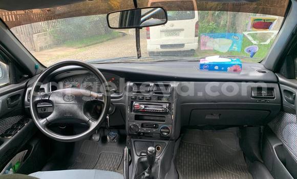 ይግዙ ያገለገለ Toyota Carina ሌላ መኪና በ አዲስ አበባ በ ኢትዮጵያ ይግዙ ያገለገለ Toyota Carina ሌላ መኪና በ አዲስ አበባ በ ኢትዮጵያ