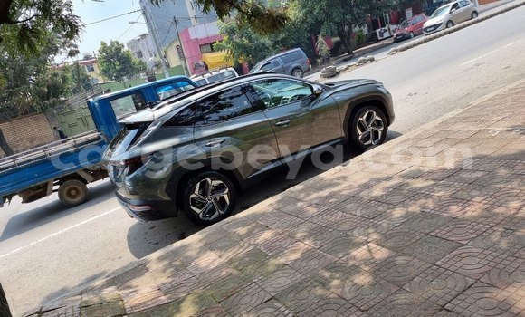 Buy Used Hyundai Tucson Beige Car in Addis–Ababa in Ethiopia Buy Used Hyundai Tucson Beige Car in Addis–Ababa in Ethiopia