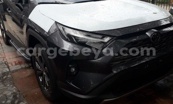Buy New Toyota RAV4 Beige Car in Addis–Ababa in Ethiopia Buy New Toyota RAV4 Beige Car in Addis–Ababa in Ethiopia