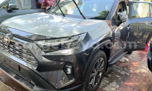 Buy New Toyota RAV4 Beige Car in Addis–Ababa in Ethiopia Buy New Toyota RAV4 Beige Car in Addis–Ababa in Ethiopia