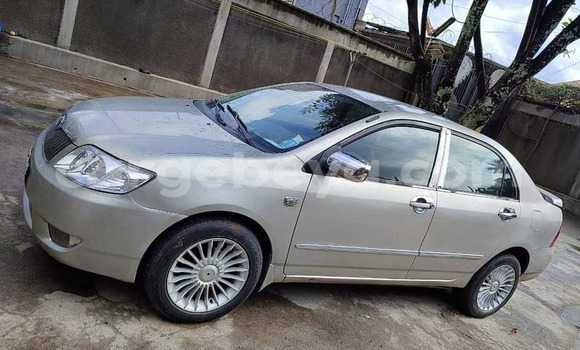 Buy Used Toyota Corolla Silver Car in Addis–Ababa in Ethiopia Buy Used Toyota Corolla Silver Car in Addis–Ababa in Ethiopia