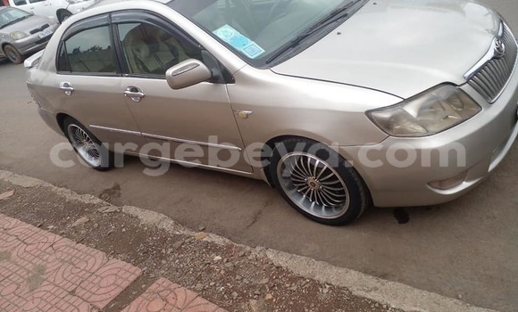 Buy Used Toyota Corolla Beige Car in Addis–Ababa in Ethiopia Buy Used Toyota Corolla Beige Car in Addis–Ababa in Ethiopia