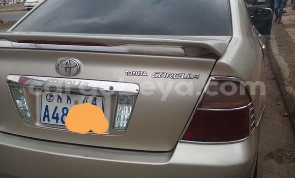 Buy Used Toyota Corolla Beige Car in Addis–Ababa in Ethiopia Buy Used Toyota Corolla Beige Car in Addis–Ababa in Ethiopia