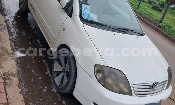 Buy Used Toyota Corolla White Car in Addis–Ababa in Ethiopia Buy Used Toyota Corolla White Car in Addis–Ababa in Ethiopia