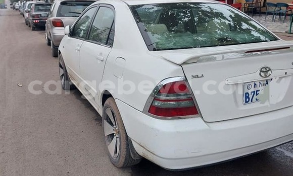 Buy Used Toyota Corolla White Car in Addis–Ababa in Ethiopia Buy Used Toyota Corolla White Car in Addis–Ababa in Ethiopia