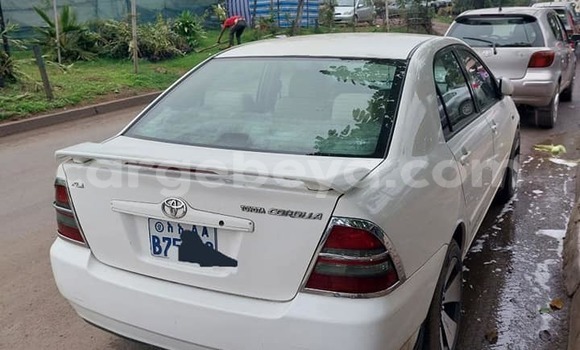 Buy Used Toyota Corolla White Car in Addis–Ababa in Ethiopia Buy Used Toyota Corolla White Car in Addis–Ababa in Ethiopia