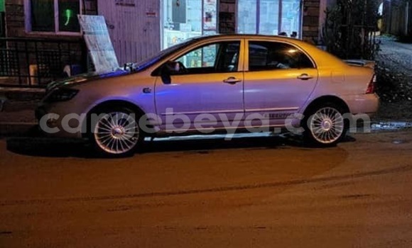 Buy Used Toyota Corolla Silver Car in Addis–Ababa in Ethiopia Buy Used Toyota Corolla Silver Car in Addis–Ababa in Ethiopia