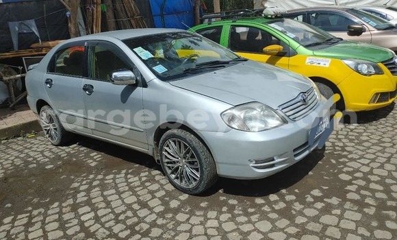 Buy Used Toyota Corolla Silver Car in Addis–Ababa in Ethiopia Buy Used Toyota Corolla Silver Car in Addis–Ababa in Ethiopia