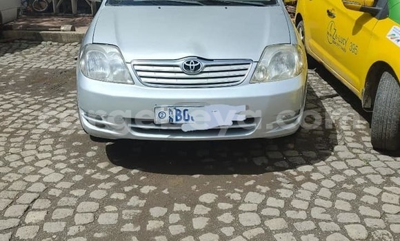 Buy Used Toyota Corolla Silver Car in Addis–Ababa in Ethiopia Buy Used Toyota Corolla Silver Car in Addis–Ababa in Ethiopia