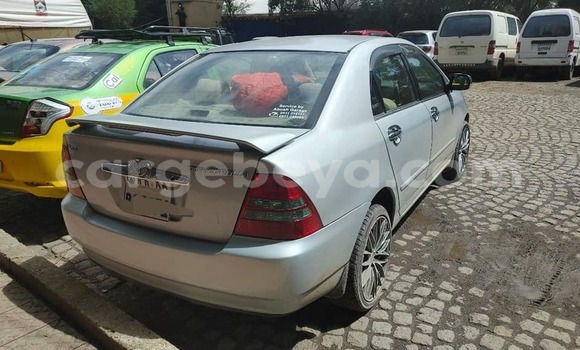Buy Used Toyota Corolla Silver Car in Addis–Ababa in Ethiopia Buy Used Toyota Corolla Silver Car in Addis–Ababa in Ethiopia