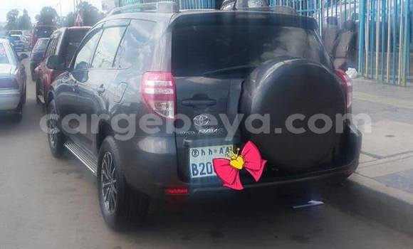 Buy Used Toyota RAV4 Other Car in Addis–Ababa in Ethiopia Buy Used Toyota RAV4 Other Car in Addis–Ababa in Ethiopia