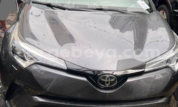 Buy New Toyota C-HR Beige Car in Addis–Ababa in Ethiopia Buy New Toyota C-HR Beige Car in Addis–Ababa in Ethiopia