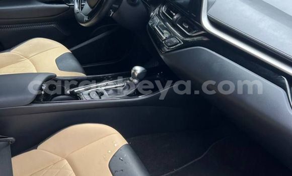 Buy New Toyota C-HR Beige Car in Addis–Ababa in Ethiopia Buy New Toyota C-HR Beige Car in Addis–Ababa in Ethiopia