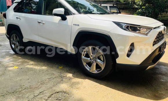 ይግዙ አዲስ Toyota RAV4 ነጭ መኪና በ አዲስ አበባ በ ኢትዮጵያ ይግዙ አዲስ Toyota RAV4 ነጭ መኪና በ አዲስ አበባ በ ኢትዮጵያ