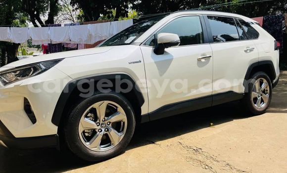 ይግዙ አዲስ Toyota RAV4 ነጭ መኪና በ አዲስ አበባ በ ኢትዮጵያ ይግዙ አዲስ Toyota RAV4 ነጭ መኪና በ አዲስ አበባ በ ኢትዮጵያ