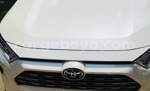 ይግዙ አዲስ Toyota RAV4 ነጭ መኪና በ አዲስ አበባ በ ኢትዮጵያ ይግዙ አዲስ Toyota RAV4 ነጭ መኪና በ አዲስ አበባ በ ኢትዮጵያ