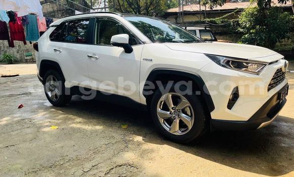 ይግዙ አዲስ Toyota RAV4 ነጭ መኪና በ አዲስ አበባ በ ኢትዮጵያ ይግዙ አዲስ Toyota RAV4 ነጭ መኪና በ አዲስ አበባ በ ኢትዮጵያ