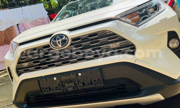 ይግዙ አዲስ Toyota RAV4 ነጭ መኪና በ አዲስ አበባ በ ኢትዮጵያ ይግዙ አዲስ Toyota RAV4 ነጭ መኪና በ አዲስ አበባ በ ኢትዮጵያ