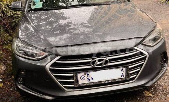 Buy Used Hyundai Avante Beige Car in Addis–Ababa in Ethiopia Buy Used Hyundai Avante Beige Car in Addis–Ababa in Ethiopia