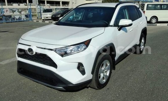 Buy Used Toyota RAV4 White Car in Addis–Ababa in Ethiopia Buy Used Toyota RAV4 White Car in Addis–Ababa in Ethiopia