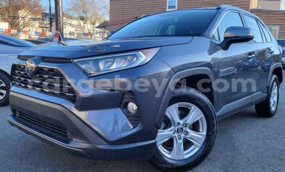 Buy Used Toyota RAV4 Other Car in Addiet–Canna in Ethiopia Buy Used Toyota RAV4 Other Car in Addiet–Canna in Ethiopia