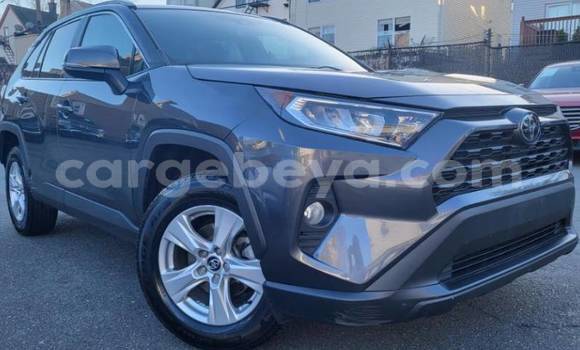 Buy Used Toyota RAV4 Other Car in Addiet–Canna in Ethiopia Buy Used Toyota RAV4 Other Car in Addiet–Canna in Ethiopia