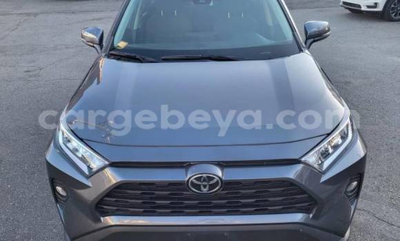 Buy Used Toyota RAV4 Other Car in Addiet–Canna in Ethiopia Buy Used Toyota RAV4 Other Car in Addiet–Canna in Ethiopia