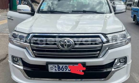 Buy Used Toyota Land Cruiser White Car in Addis–Ababa in Ethiopia Buy Used Toyota Land Cruiser White Car in Addis–Ababa in Ethiopia