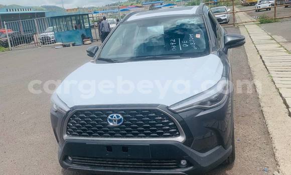 Buy New Toyota Corolla Cross Other Car in Addis–Ababa in Ethiopia Buy New Toyota Corolla Cross Other Car in Addis–Ababa in Ethiopia