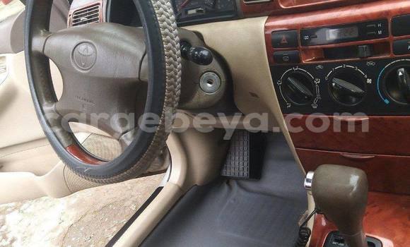 Buy Used Toyota Corolla Silver Car in Addis–Ababa in Ethiopia Buy Used Toyota Corolla Silver Car in Addis–Ababa in Ethiopia