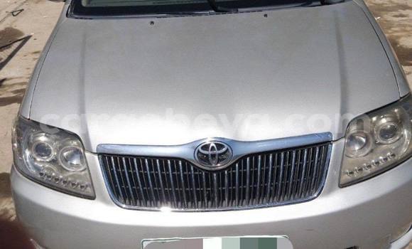 Buy Used Toyota Corolla Silver Car in Addis–Ababa in Ethiopia Buy Used Toyota Corolla Silver Car in Addis–Ababa in Ethiopia