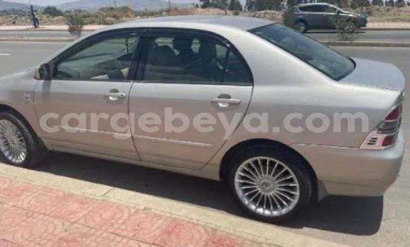 Buy Used Toyota Corolla Silver Car in Addis–Ababa in Ethiopia Buy Used Toyota Corolla Silver Car in Addis–Ababa in Ethiopia