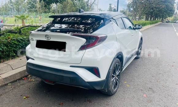 Buy Used Toyota C-HR White Car in Addis–Ababa in Ethiopia Buy Used Toyota C-HR White Car in Addis–Ababa in Ethiopia