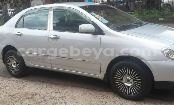Buy Used Toyota Corolla Silver Car in Addis–Ababa in Ethiopia Buy Used Toyota Corolla Silver Car in Addis–Ababa in Ethiopia